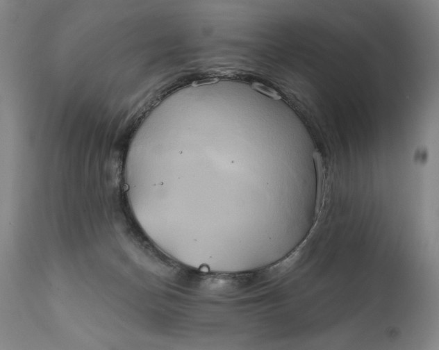 X0000111240174200907161350