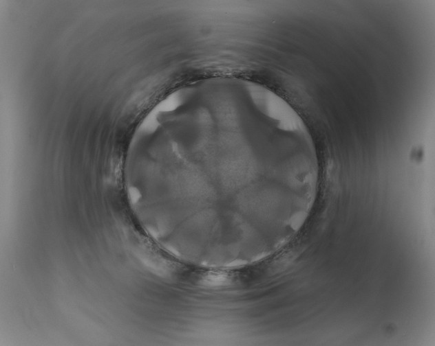 X0000111240177200907161350