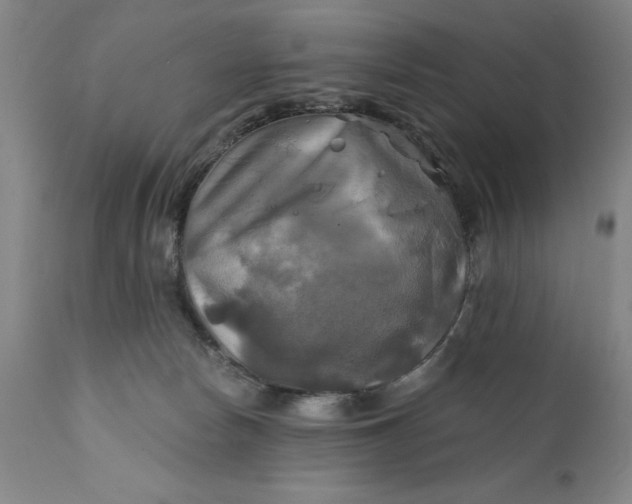 X0000111240178200907161350