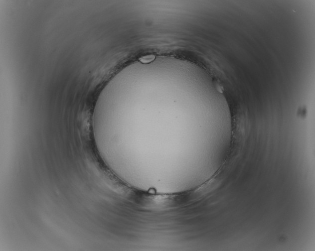 X0000111240184200907161351