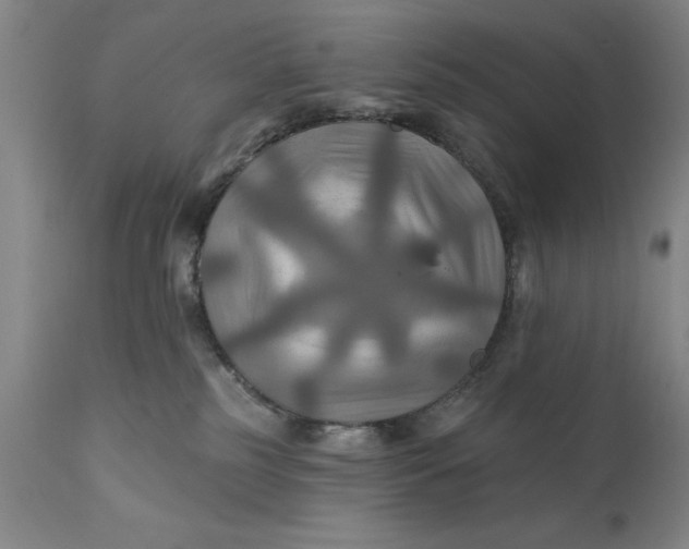 X0000111240185200907161351