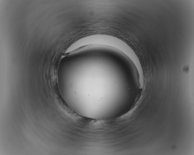 X0000111240186200907161351