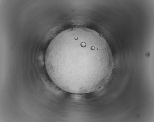 X0000111240187200907161351