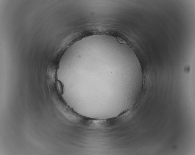 X0000111240188200907161351