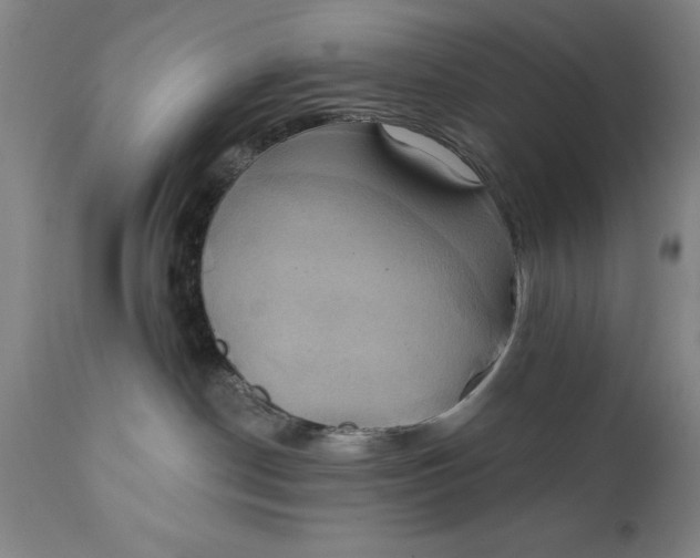 X0000111240190200907161351