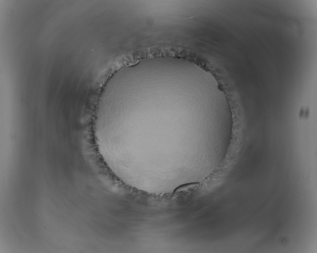 X0000111240192200907161351