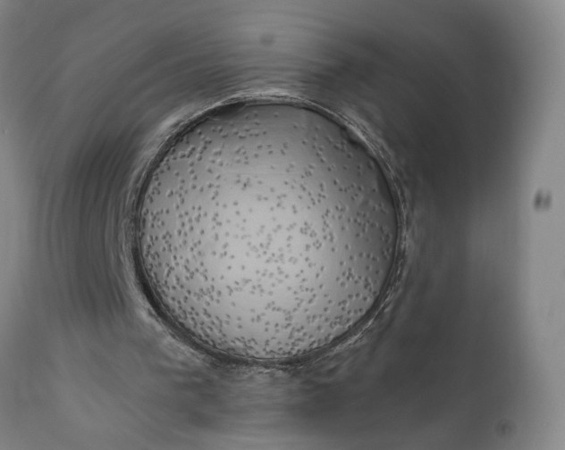 X0000111240193200907161350