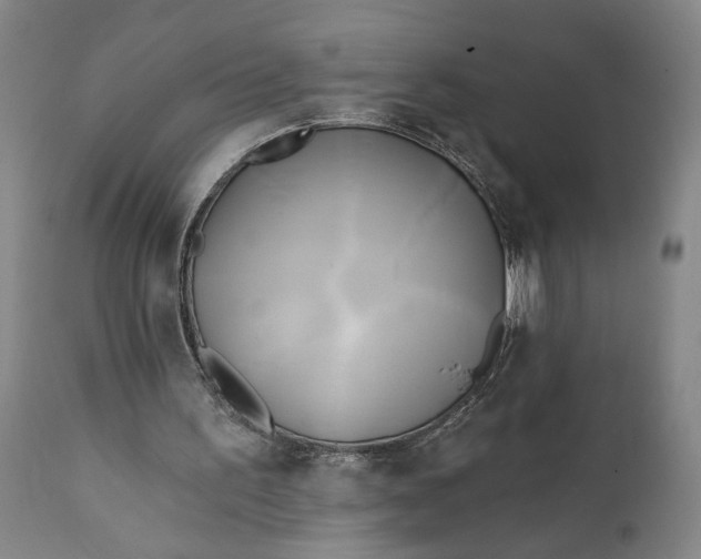 X0000111240195200907161350