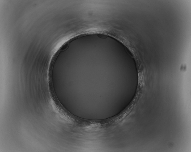 X0000111240196200907161350