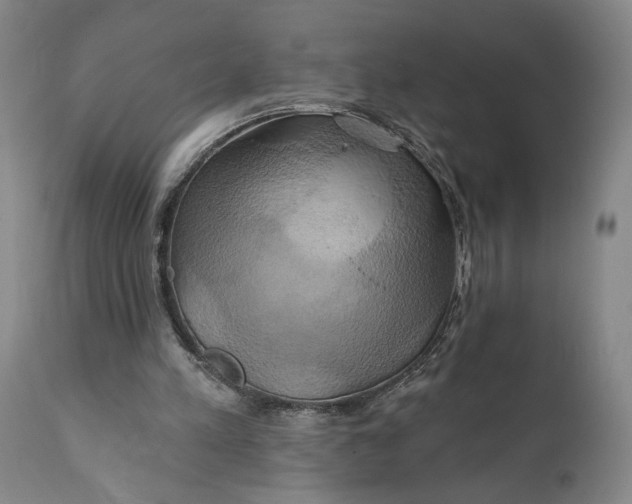 X0000111240197200907161350