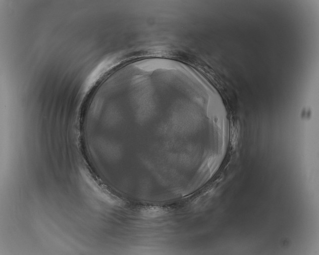 X0000111240198200907161350