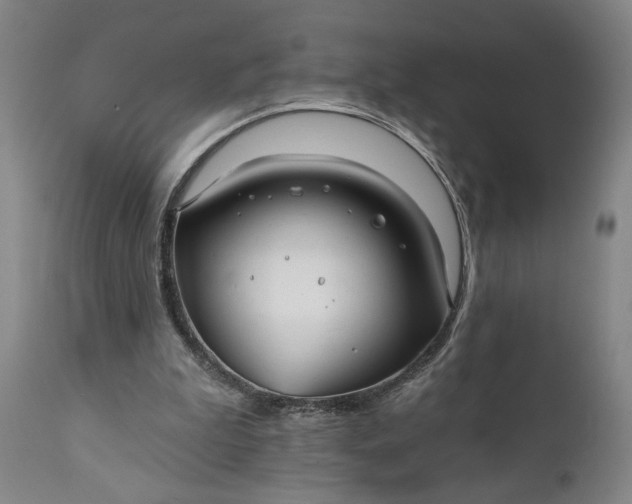 X0000111240199200907161350