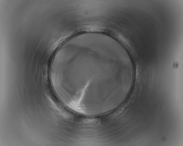 X0000111240202200907161350