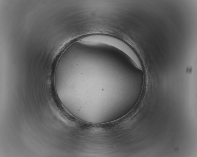 X0000111240203200907161350