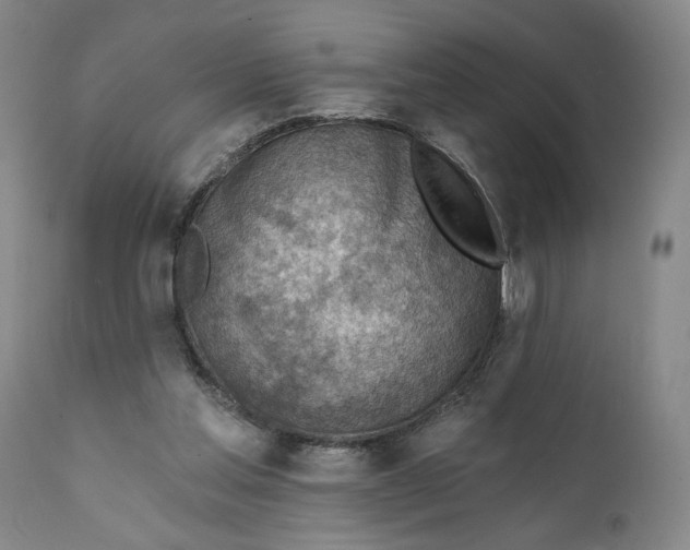 X0000111240205200907161350