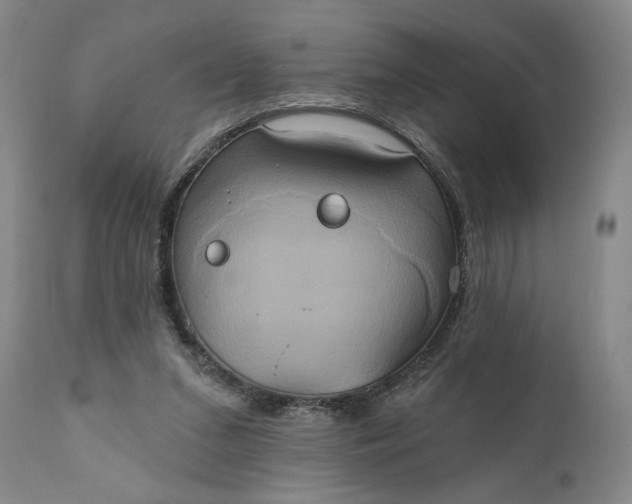 X0000111240207200907161350