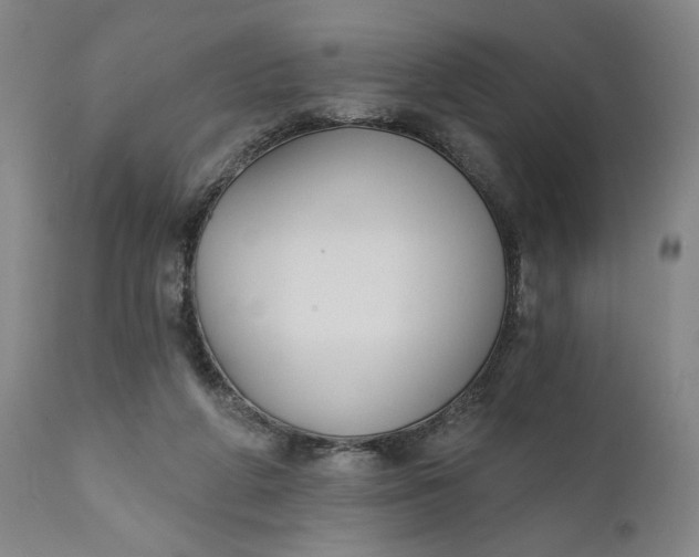 X0000111240210200907161350