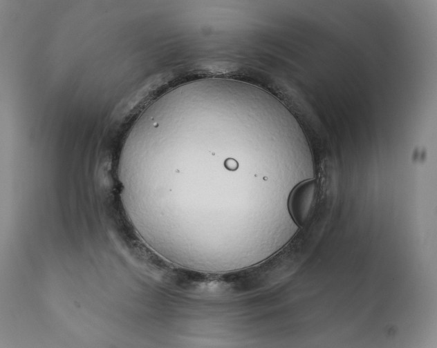 X0000111240212200907161350