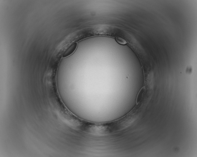 X0000111240217200907161349