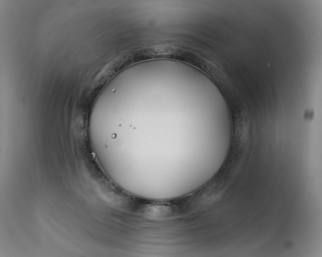 X0000111240220200907161349