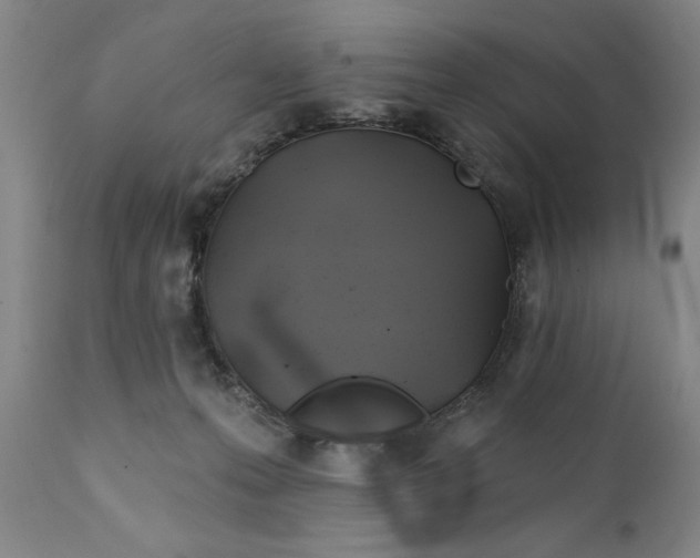 X0000111240223200907161349