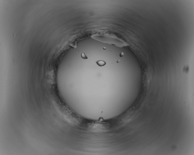 X0000111240224200907161349