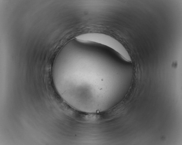 X0000111240225200907161349