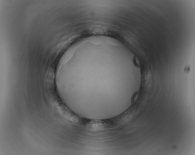 X0000111240228200907161349