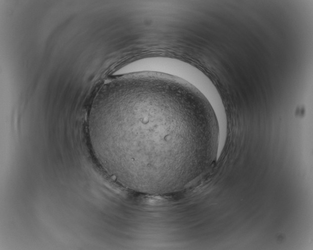 X0000111240229200907161349