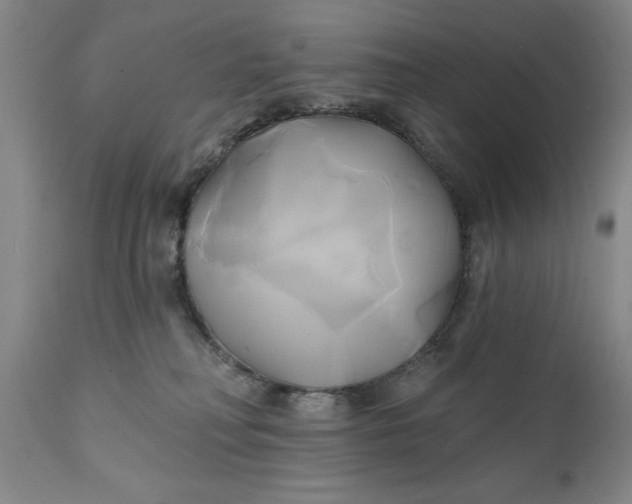 X0000111240230200907161349