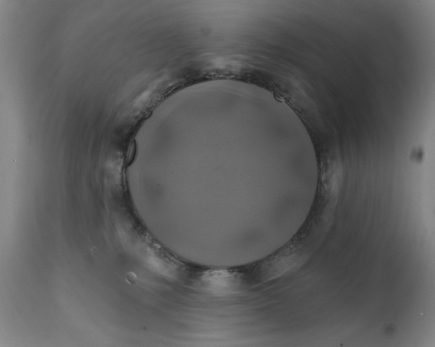 X0000111240231200907161349