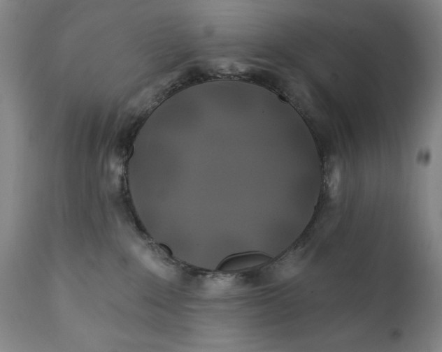 X0000111240235200907161349