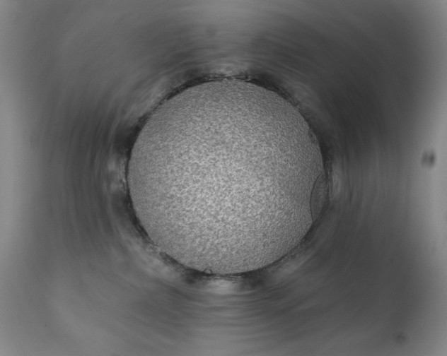 X0000111240236200907161349