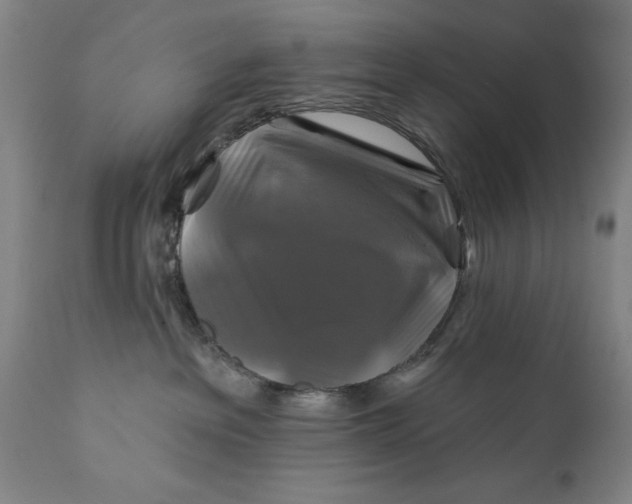 X0000111240237200907161349