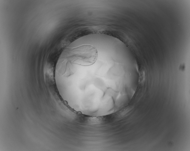 X0000111240238200907161349