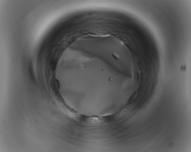 X0000111240239200907161349