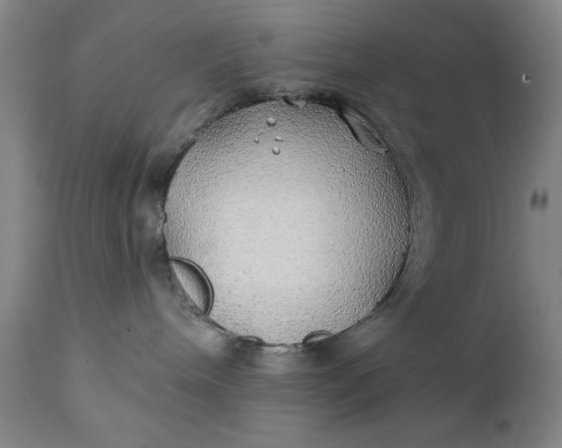 X0000111240240200907161349