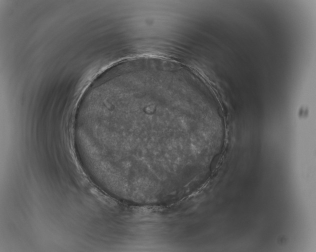 X0000111240241200907161348