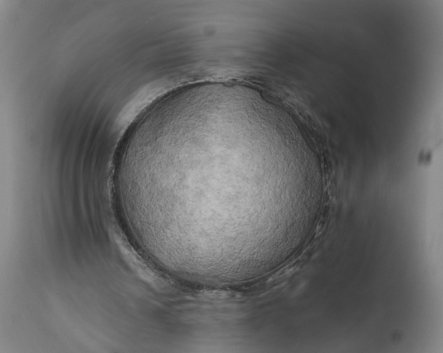 X0000111240242200907161348