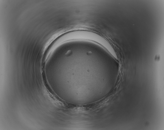 X0000111240244200907161348