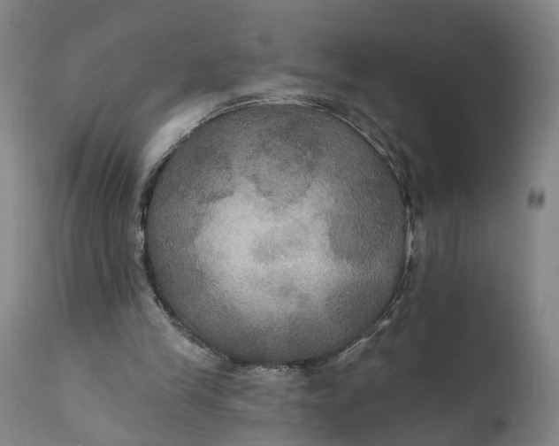 X0000111240245200907161348