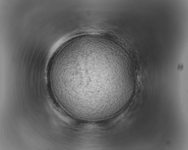 X0000111240246200907161348