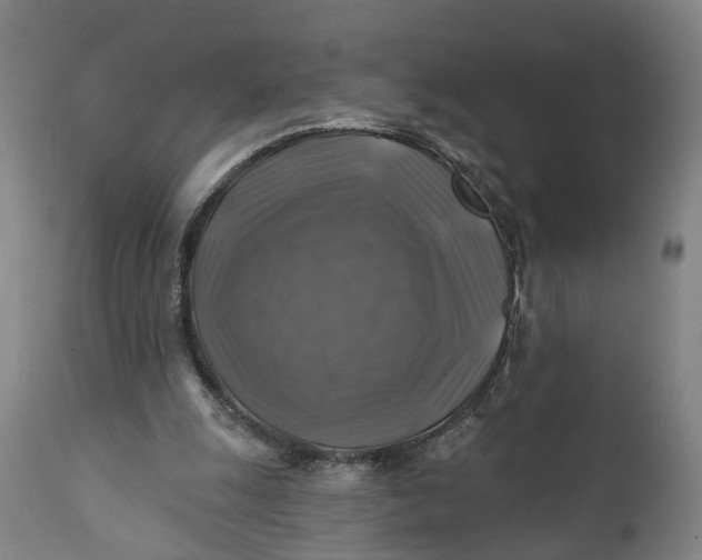 X0000111240247200907161348