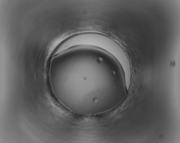 X0000111240248200907161348