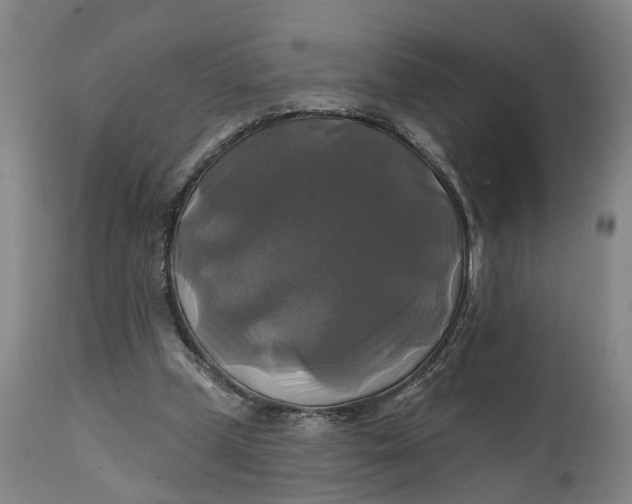 X0000111240249200907161348