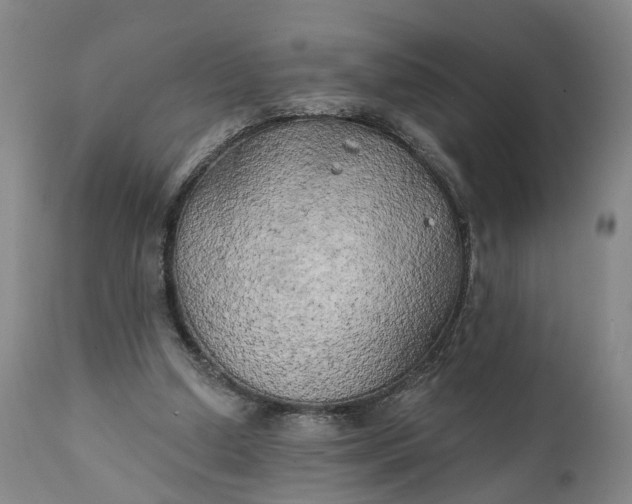 X0000111240250200907161348