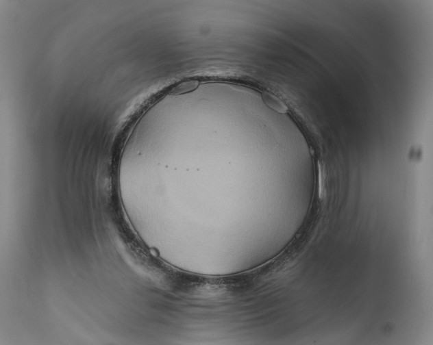 X0000111240252200907161348