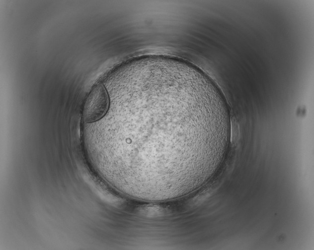 X0000111240253200907161348