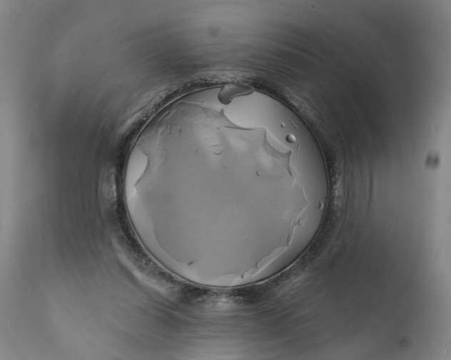 X0000111240254200907161348