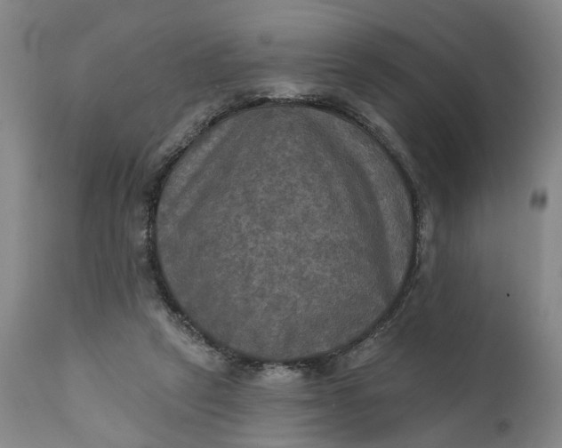 X0000111240257200907161348